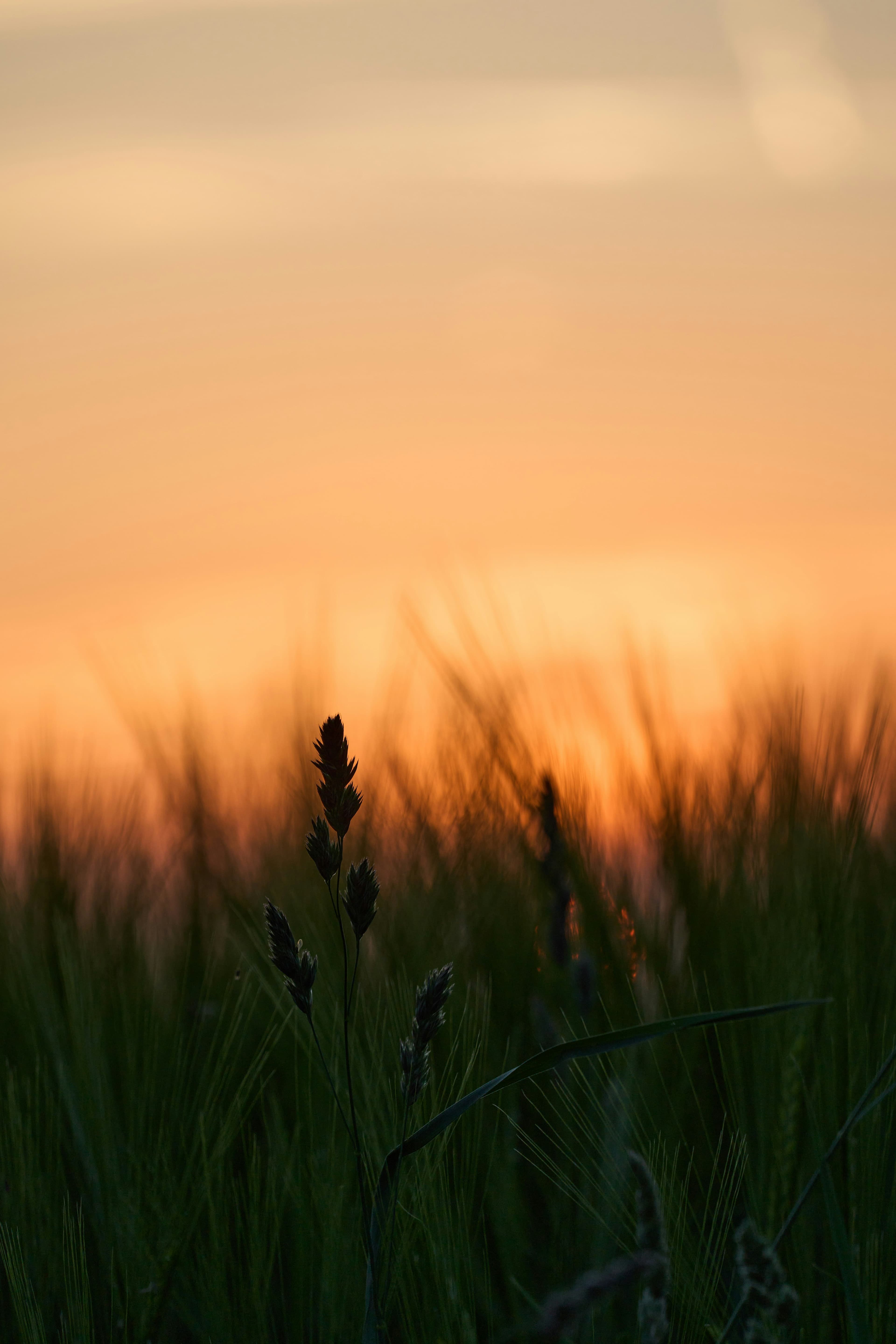 Landschaft bei Weite und Licht – atmosphärisches Hero-Foto von WeitSinn